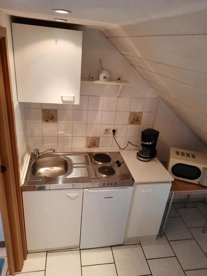 Zum Tischler Apartment Ilmenau Ngoại thất bức ảnh